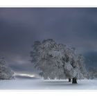 Im Schnee gepackt