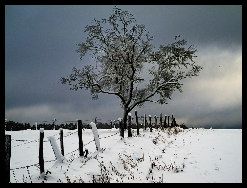 Im Schnee in Overath-Griesenbalken