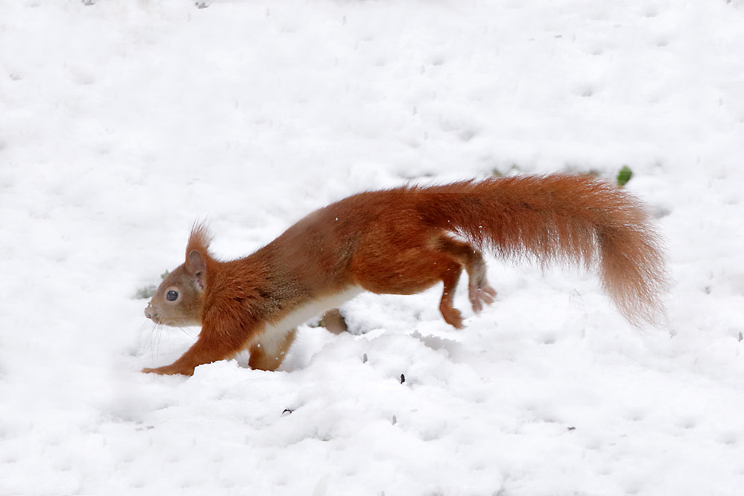 Im Schnee unterwegs sein...