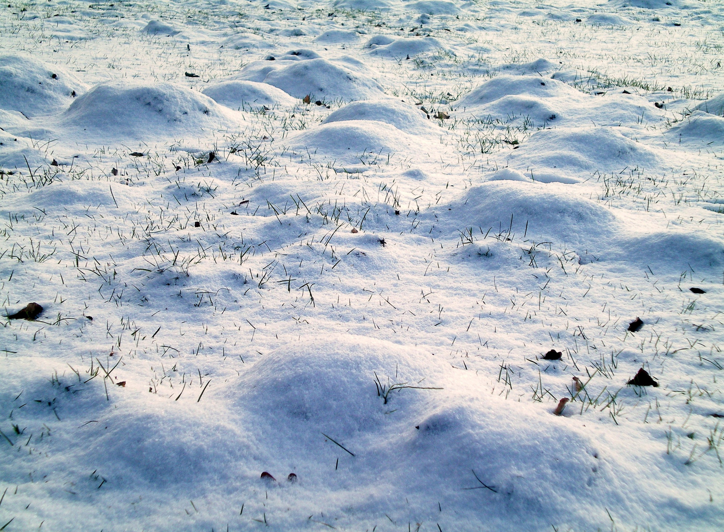 Im Schnee vergrabene Maulwurfshügel