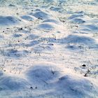 Im Schnee vergrabene Maulwurfshügel