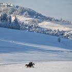 Im Schnee versinken 