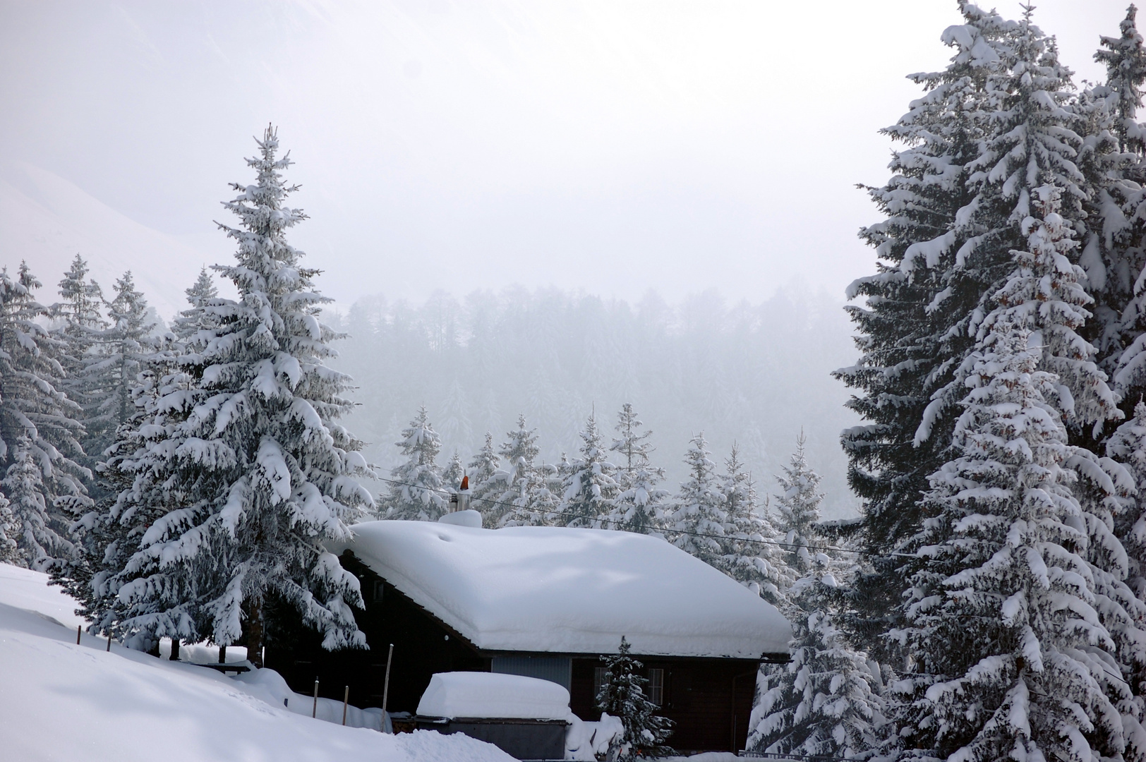 Im Schnee versunken