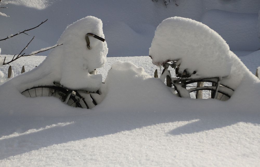 Im Schnee versunken