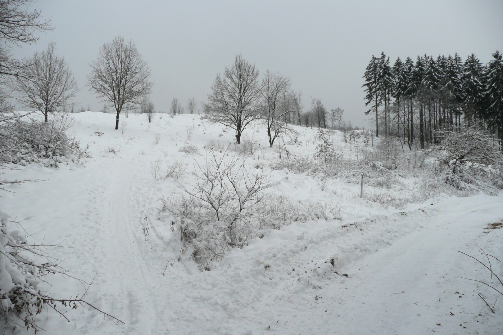 Im Schnee versunken