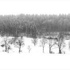 Im Schnee wandern ist schön