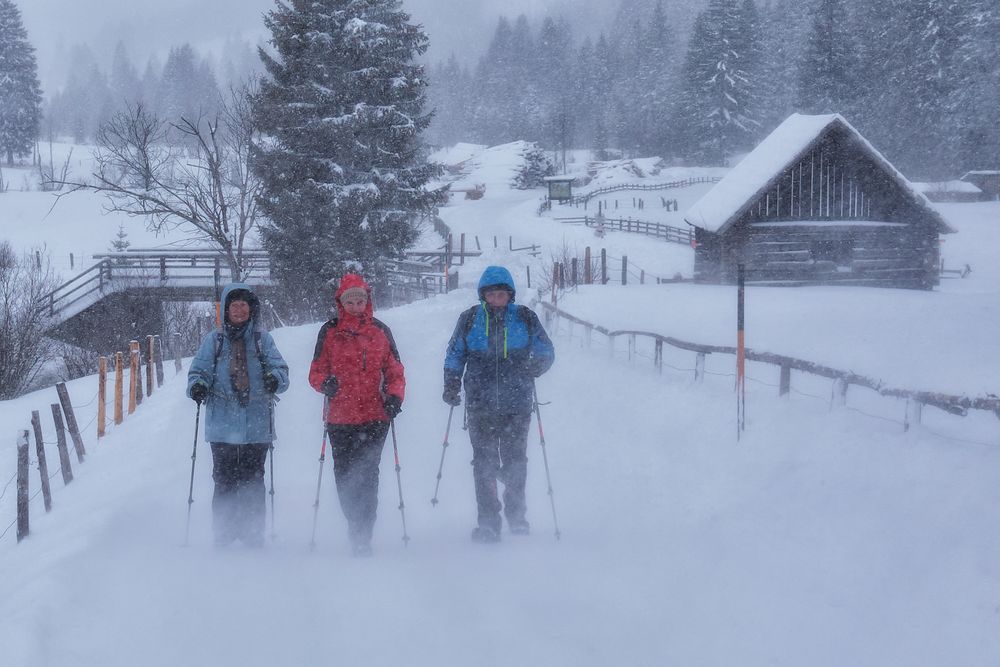 Im Schneegestöber