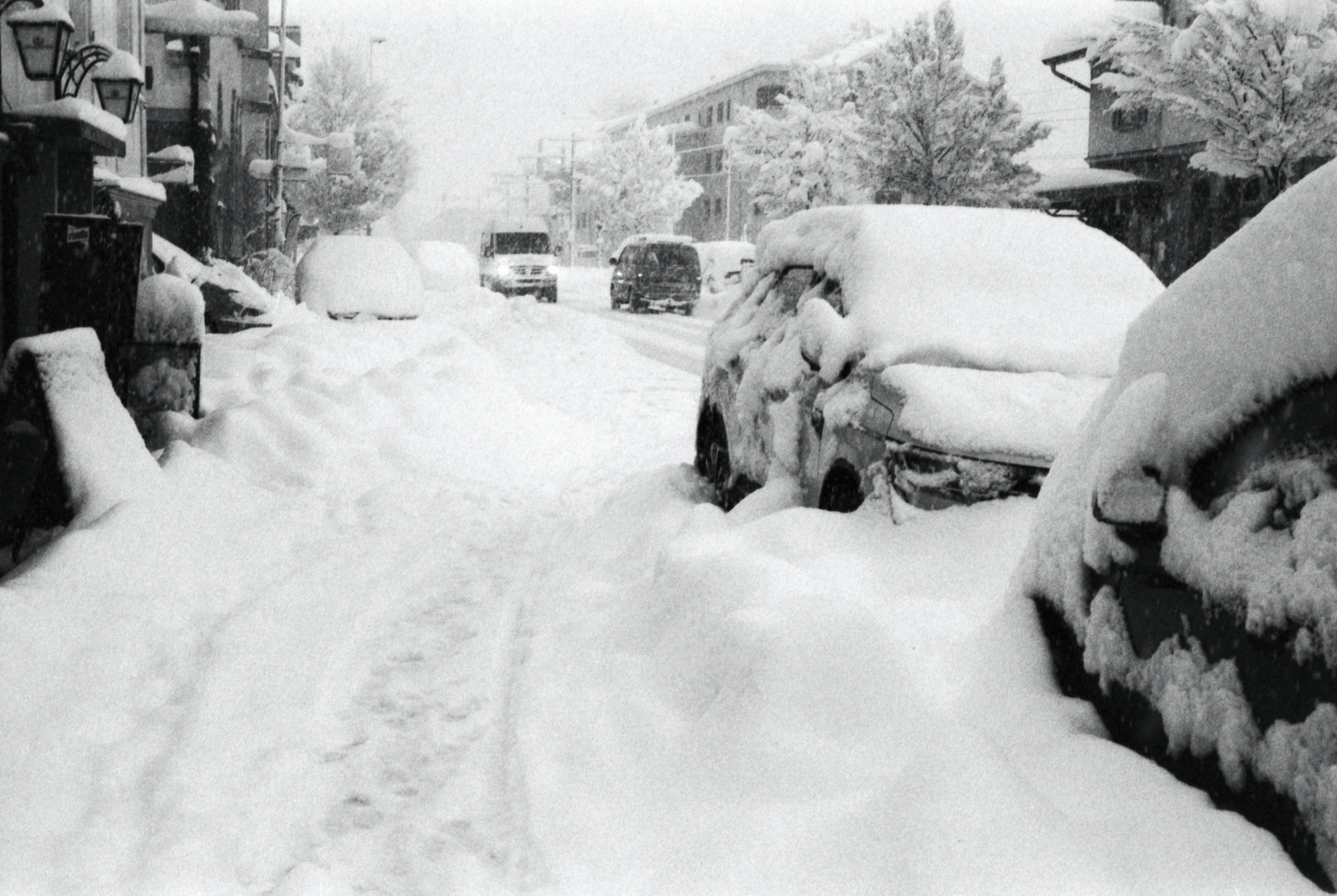 Im Schneegestöber 