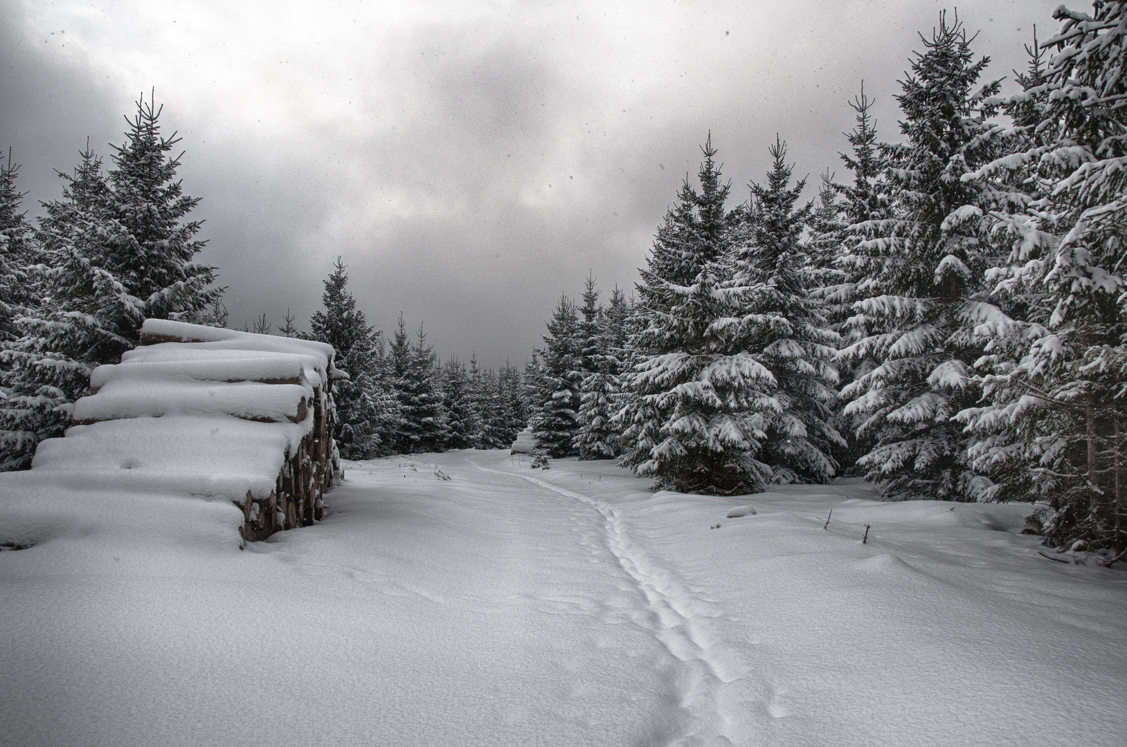 im Schneegestöber