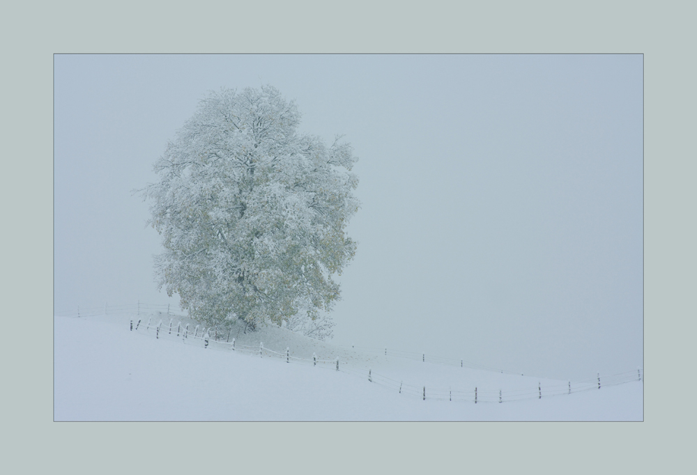 im schneegestöber..