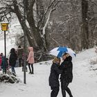 Im Schneegestöber