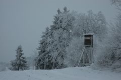 Im Schneegestöber