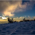 Im Schneehügelland...