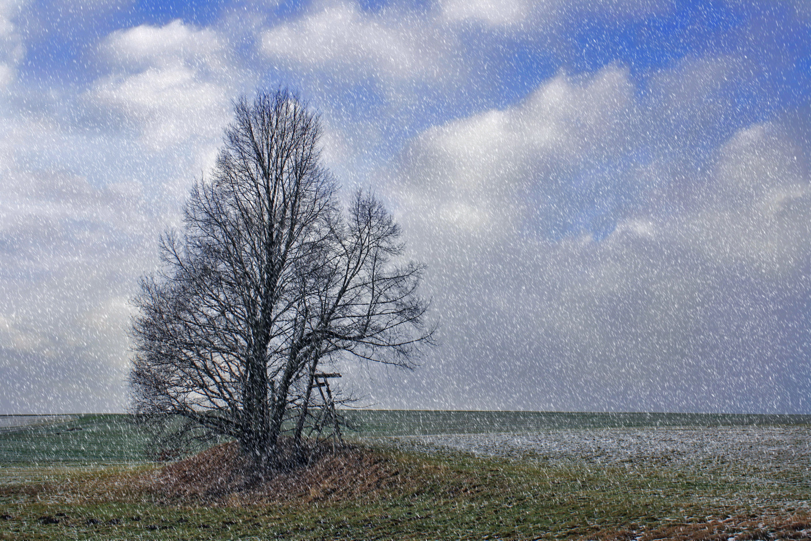 im schneesturm