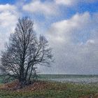 im schneesturm