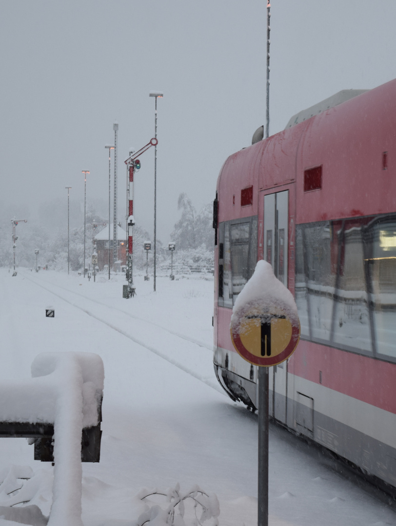 Im Schneesturm (4) ...