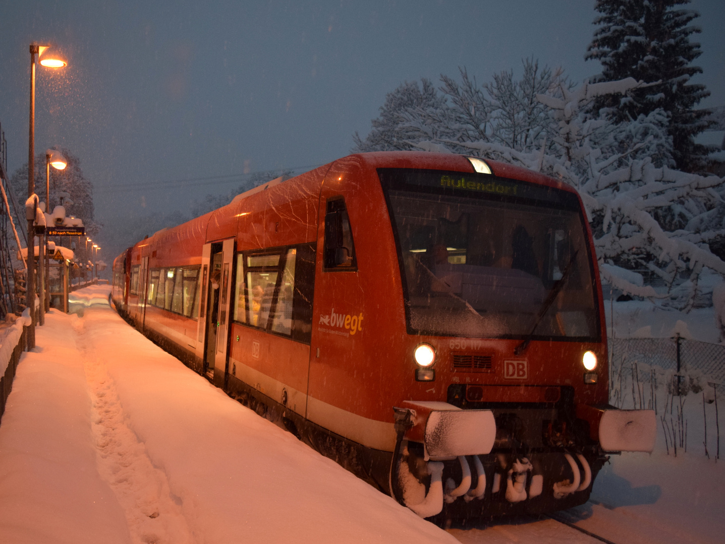 Im Schneesturm (5) ...