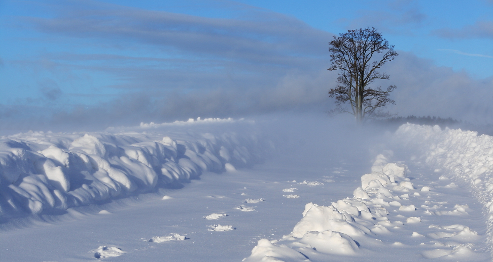 im Schneesturm