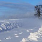 im Schneesturm