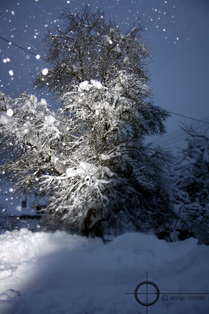 Im Schneesturm