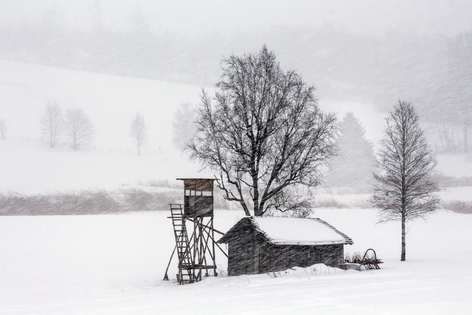 Im Schneetreiben....