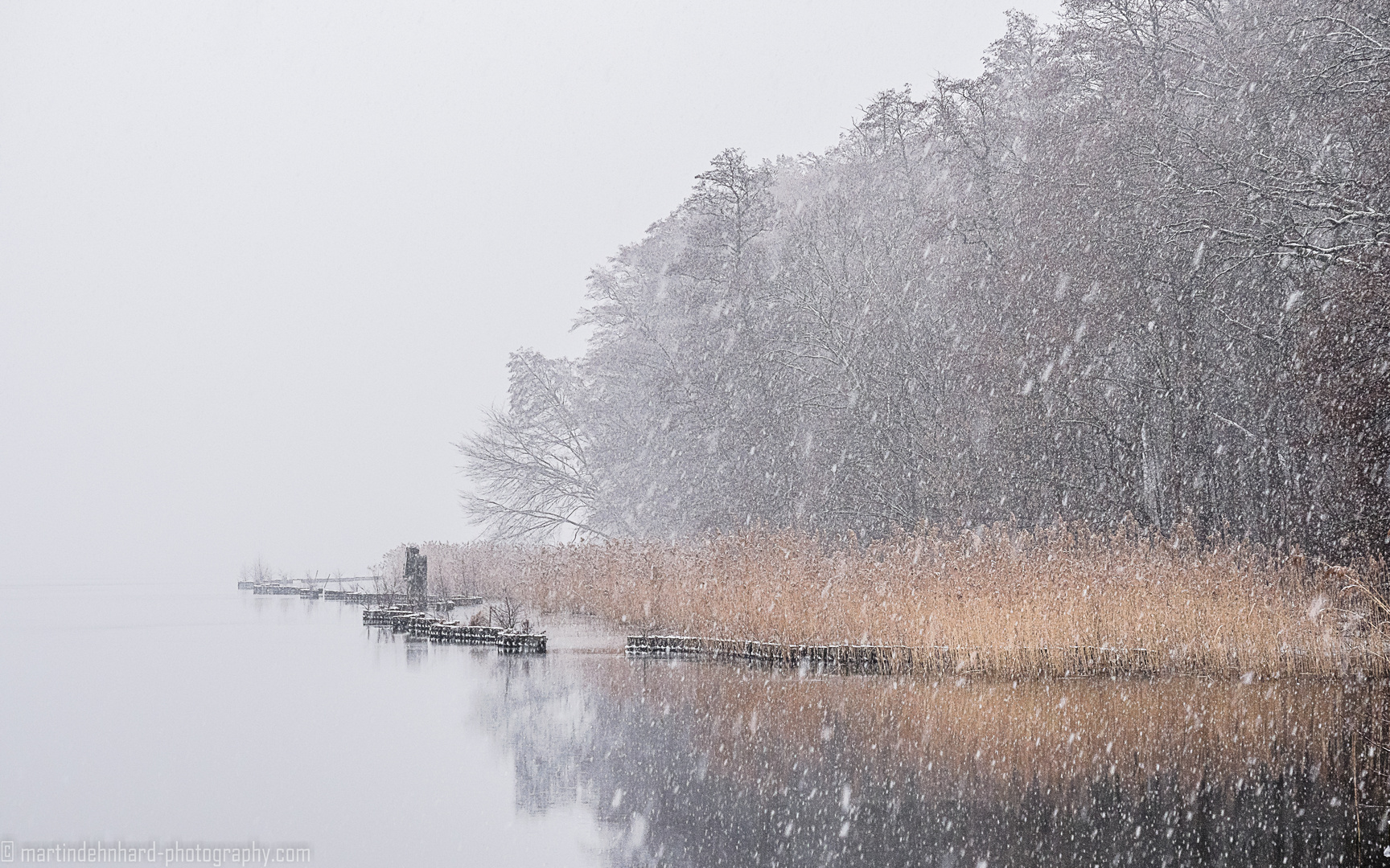 Im Schneetreiben