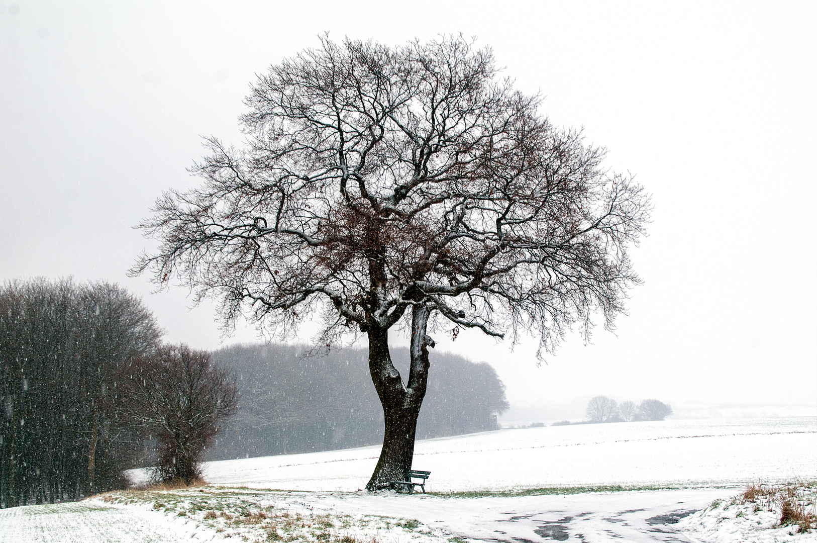 Im Schneetreiben...