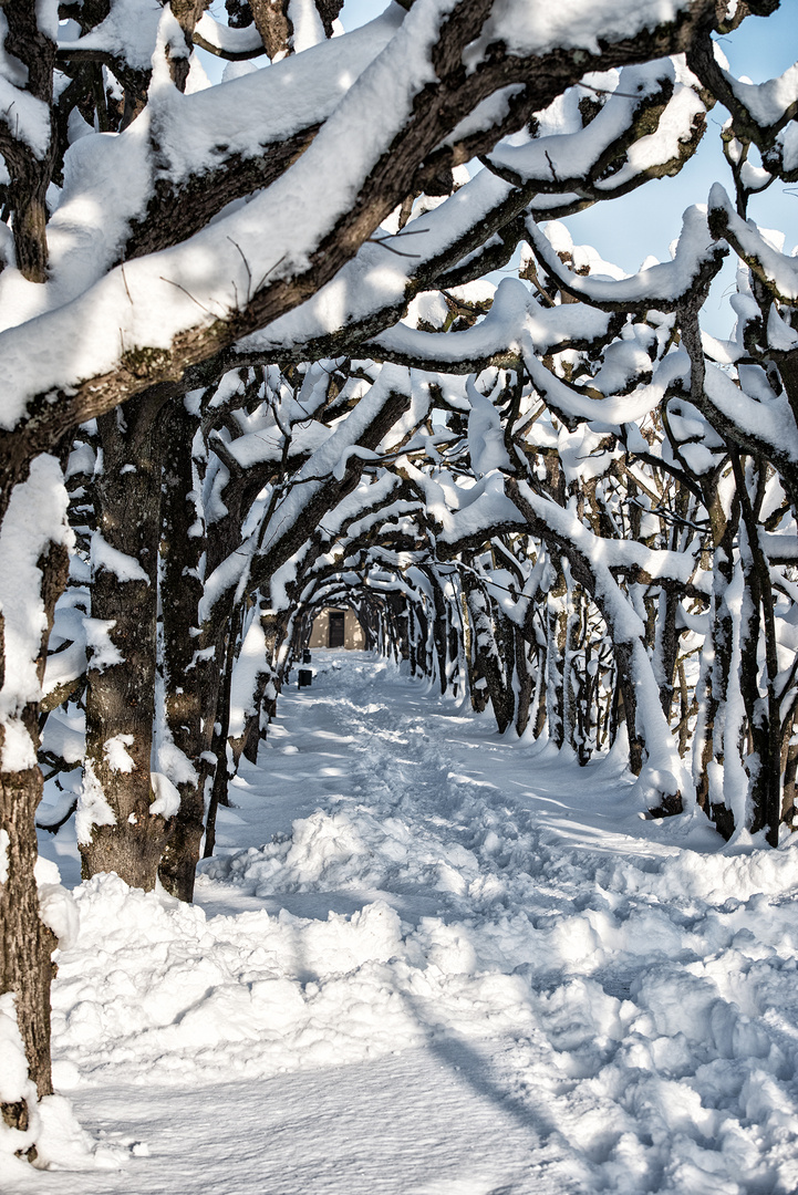 Im Schneetunel