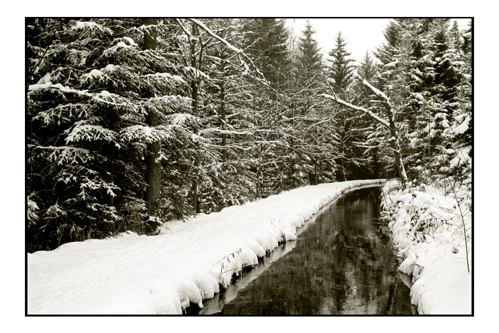 Im Schneewald - XIV