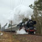 Im Schnellzugtempo nach Görlitz