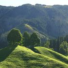 Im schönen Emmental