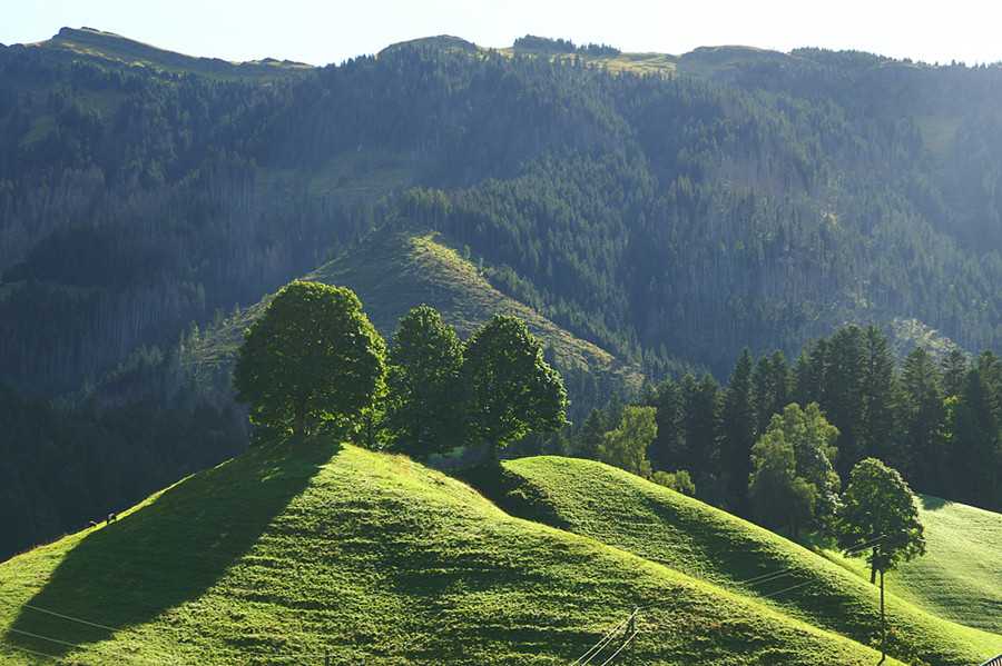 Im schönen Emmental