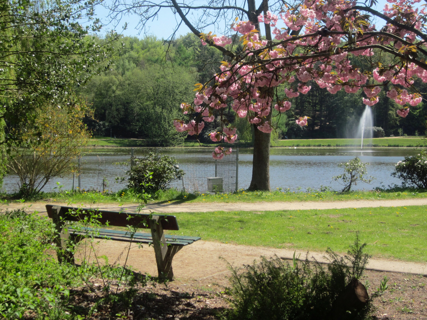 Im schönen Frühling 2016