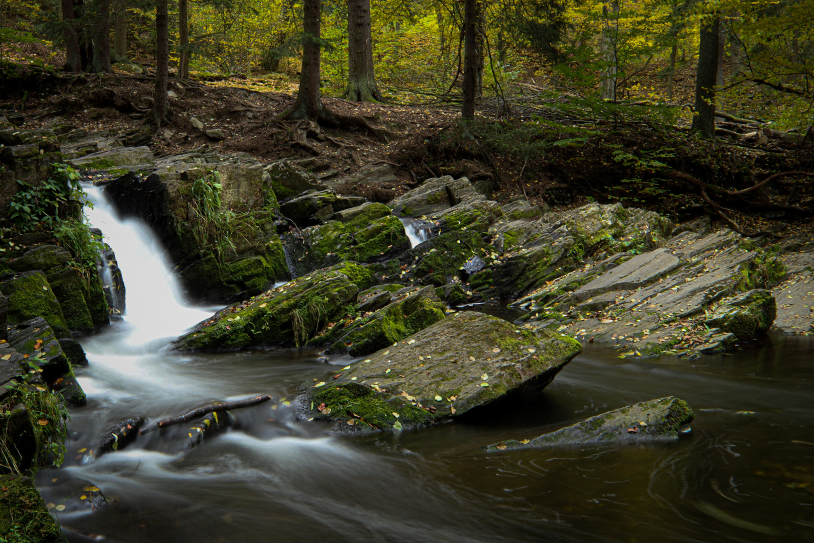 Im schönen Harz