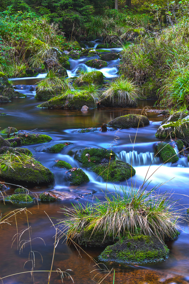 Im schönen Harz