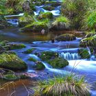 Im schönen Harz