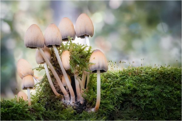 Im schönen Herbstlicht