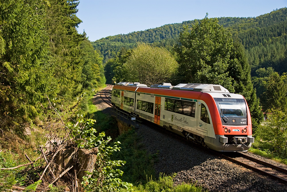 Im schönen Odenwald I