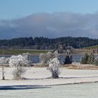 Im schönen Ostallgäu 1