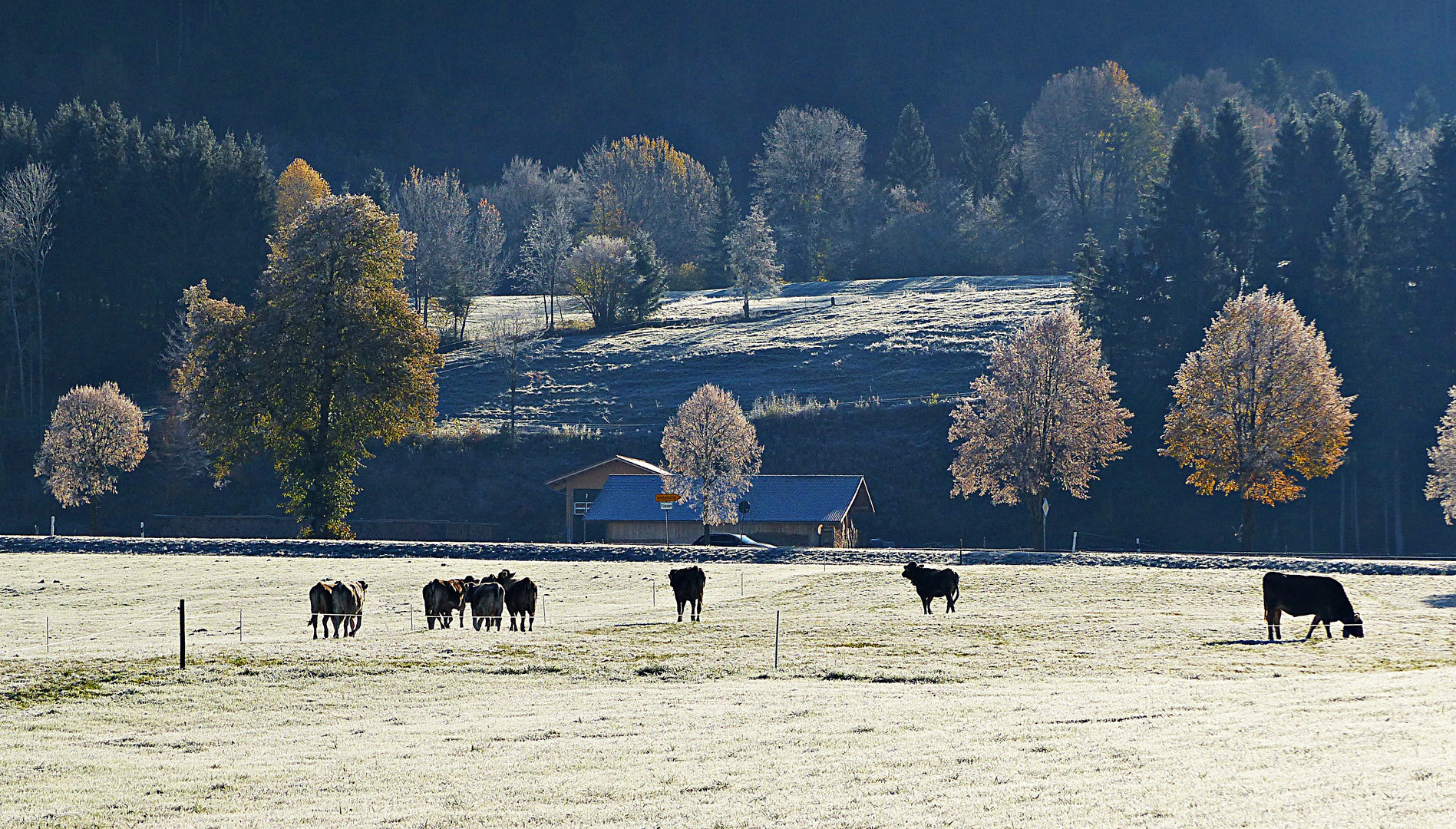 Im schönen Ostallgäu 2