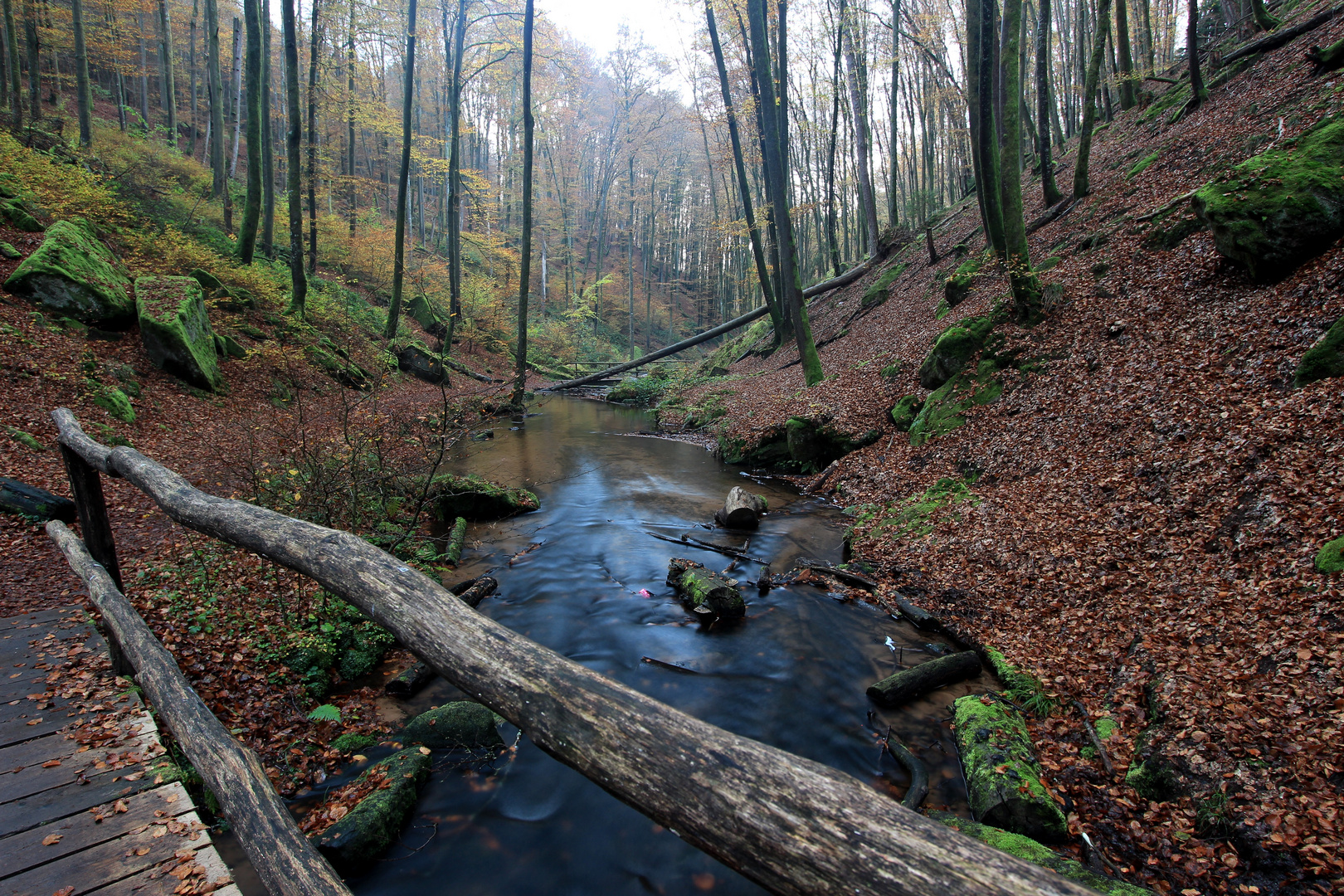 Im schönen Pfälzer Wald