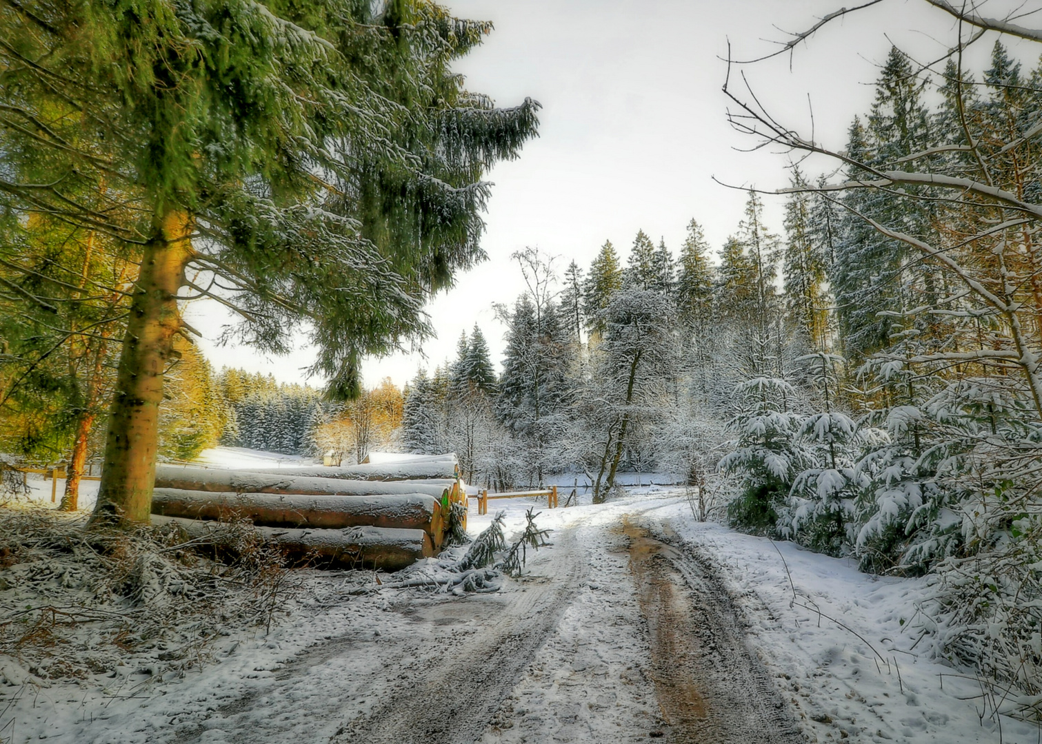 Im schönen Sauerland