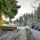 Im schönen Sauerland