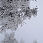 im schönen Schnee