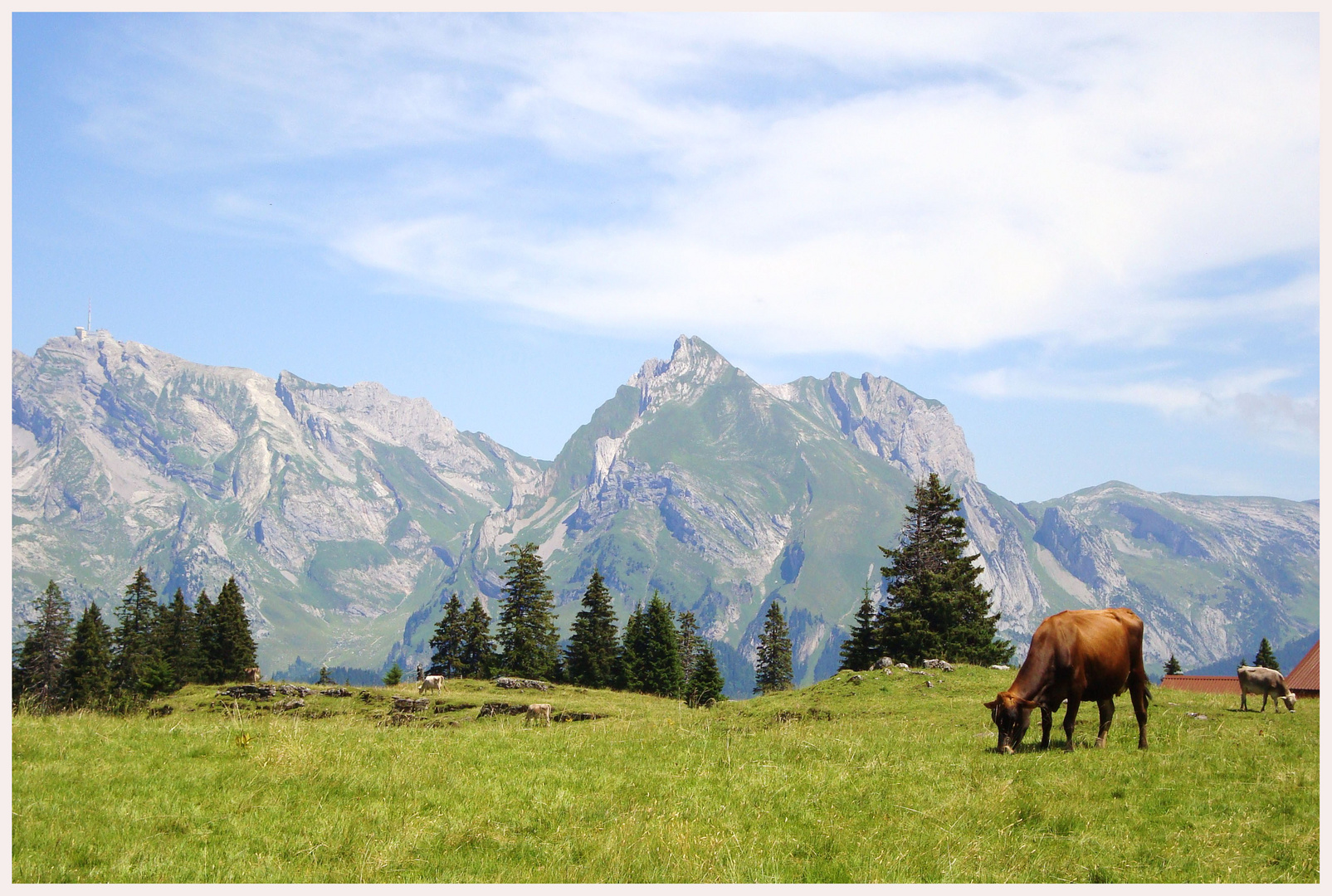 im schönen Toggenburg in der Schweiz