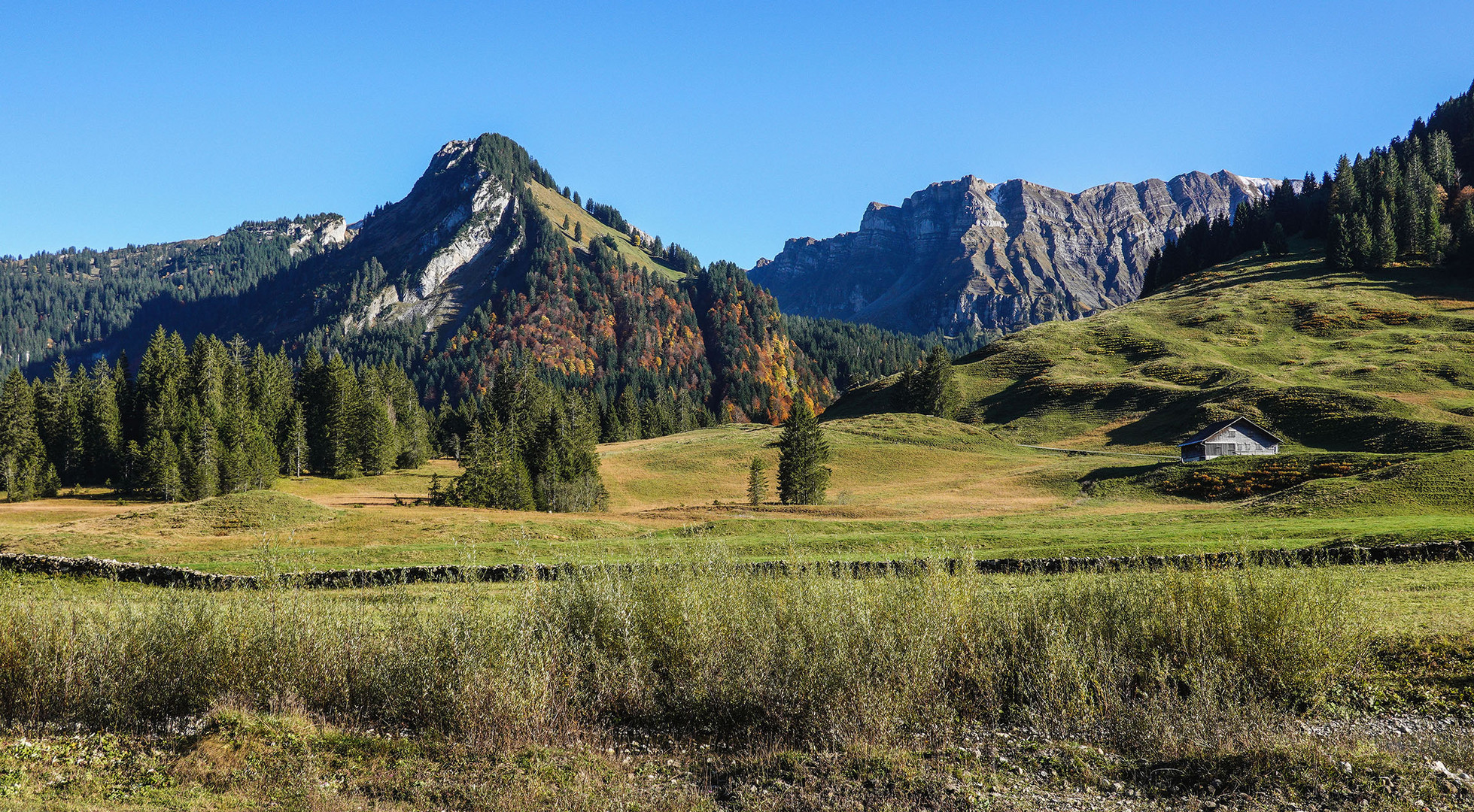 Im Schönenbachertal