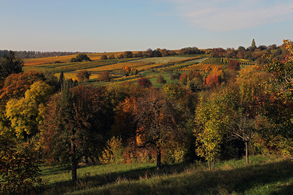 Im schönsten Herbstgewand..........