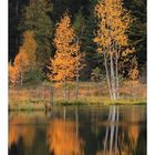 Im schönsten Herbstkleid