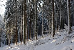 Im schönsten Kleid