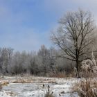 im schönsten raureif